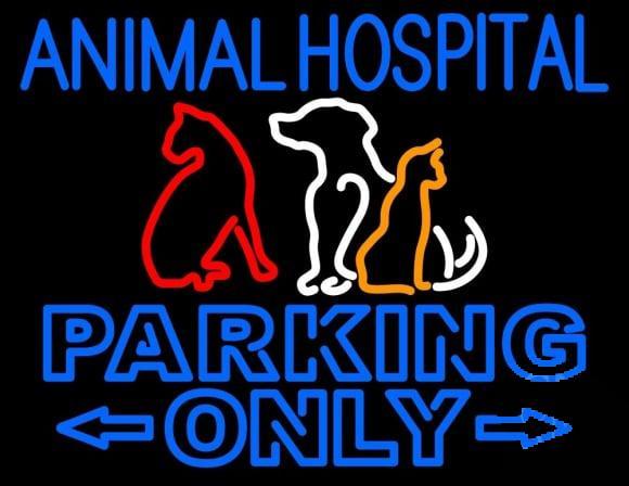 Animal Hospital Parking Only Neon Sign